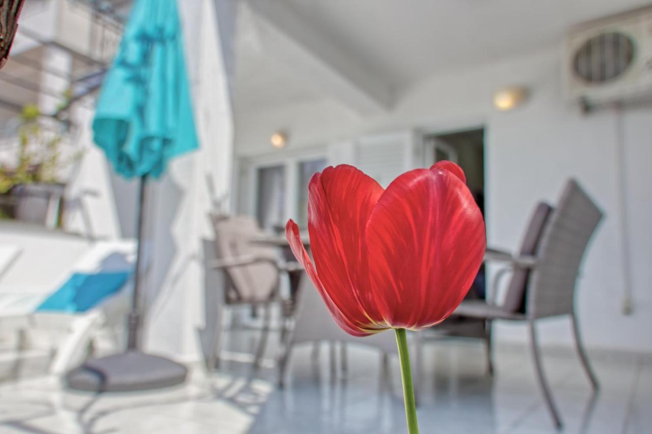 Apartmán Birimac *